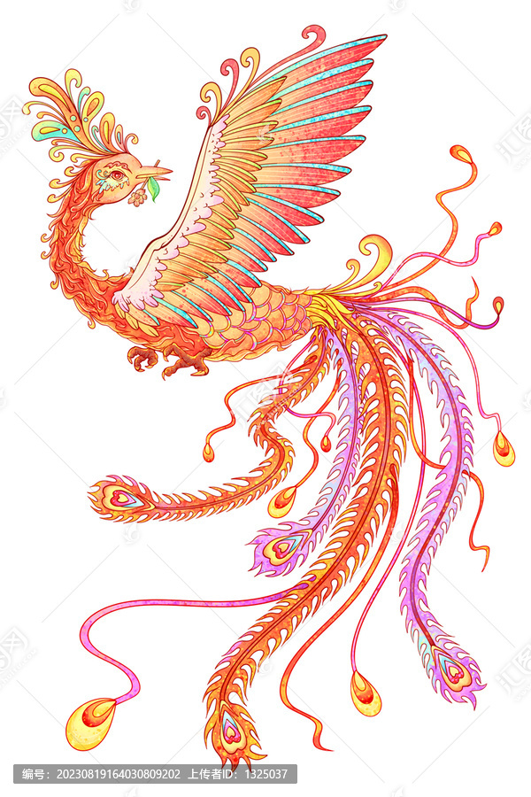 火鳳凰吉祥鳳凰插畫