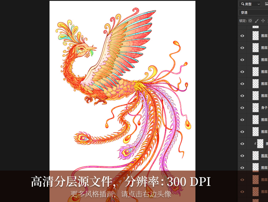 火鳳凰吉祥鳳凰插畫