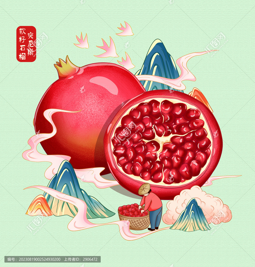 突尼斯石榴插畫手繪