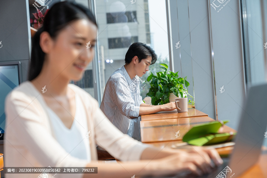 两个年轻人使用电脑专心工作