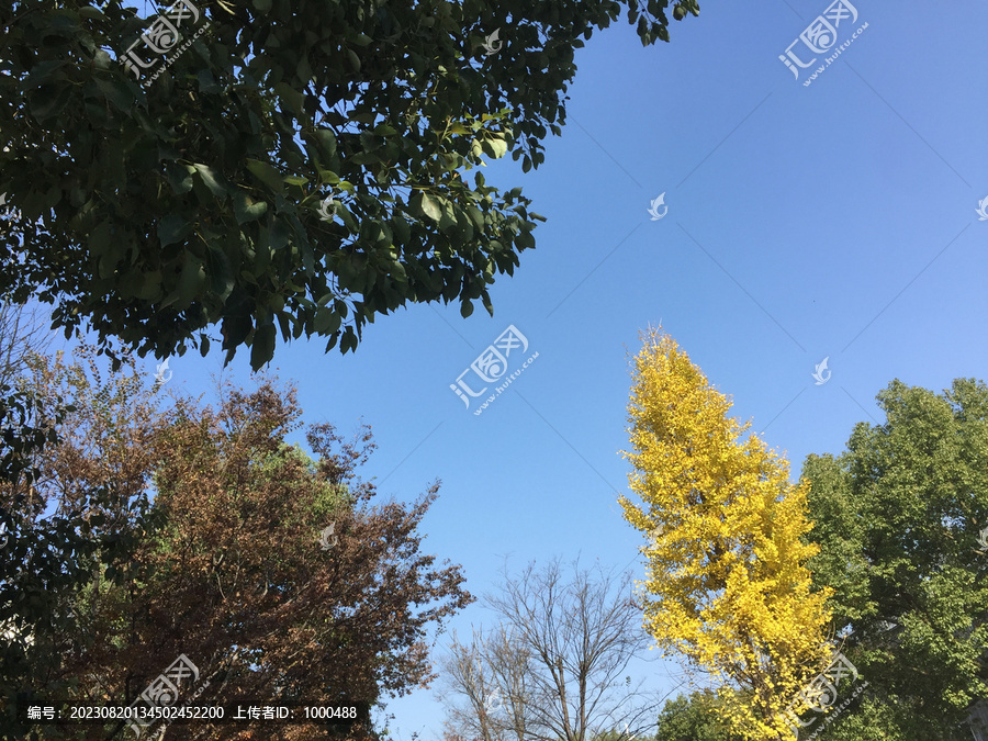 五彩繽紛秋天南方天空