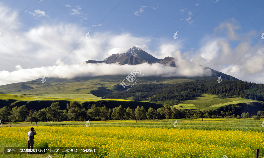 祁连雪山