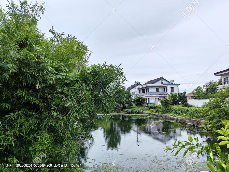 江南水乡农村田园风光