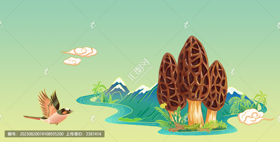 國風(fēng)羊肚菌手繪插畫