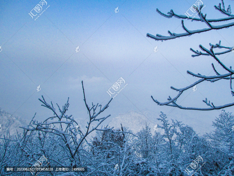 雪景