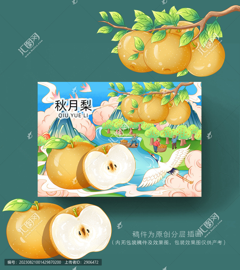 秋月梨插畫(huà)包裝