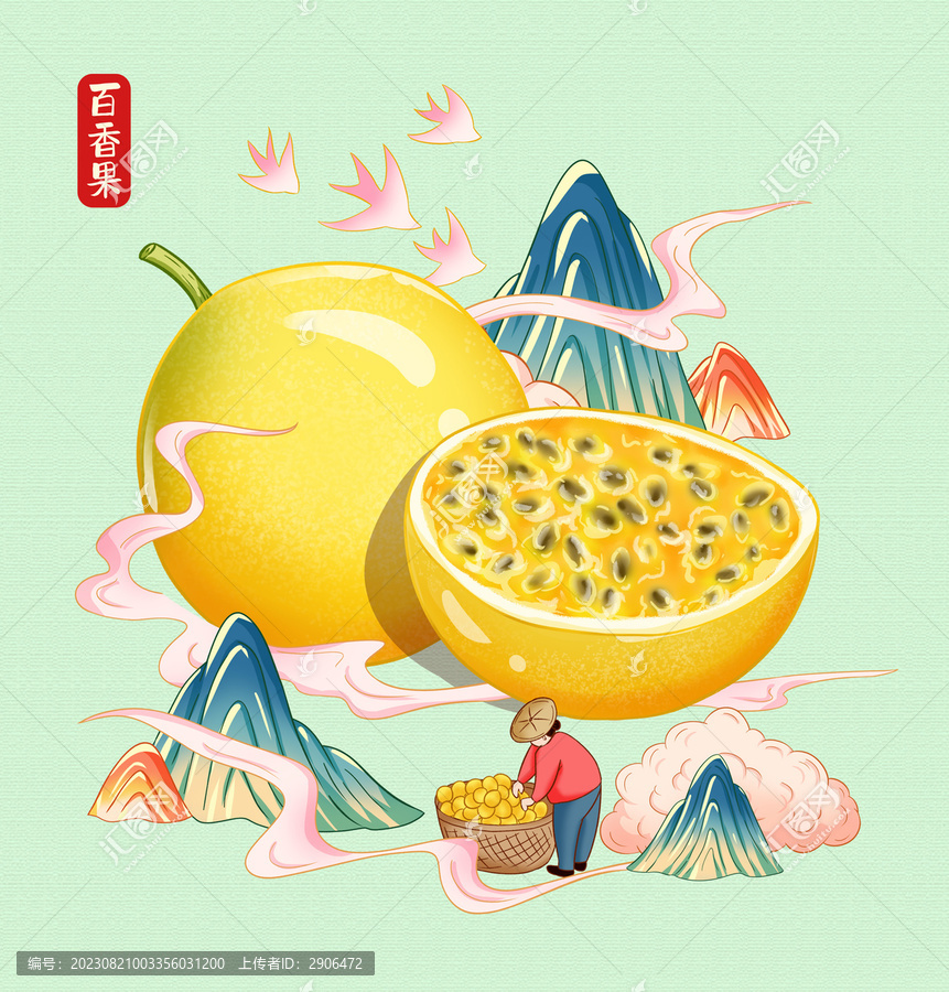 黃金百香果手繪插畫