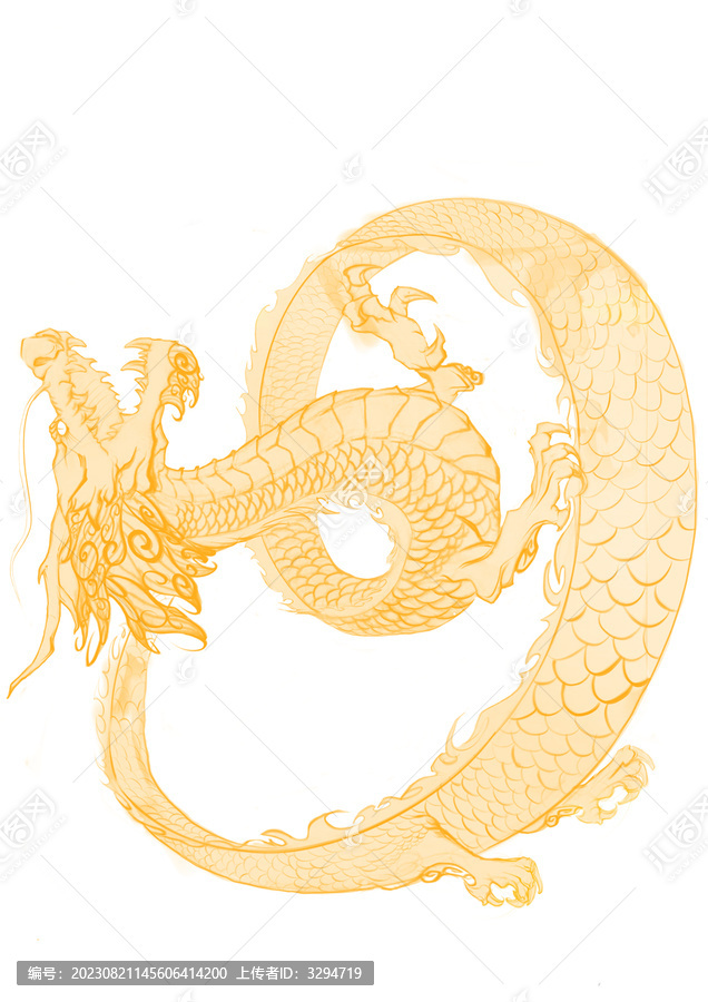 金龍