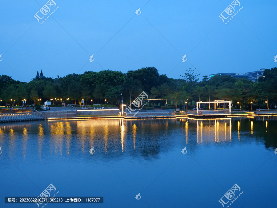 公园湖边夜景