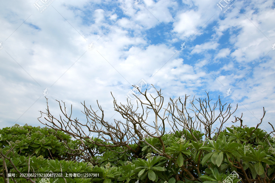 冲绳岛的海岛