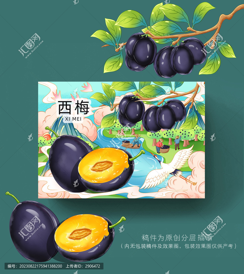西梅插畫包裝