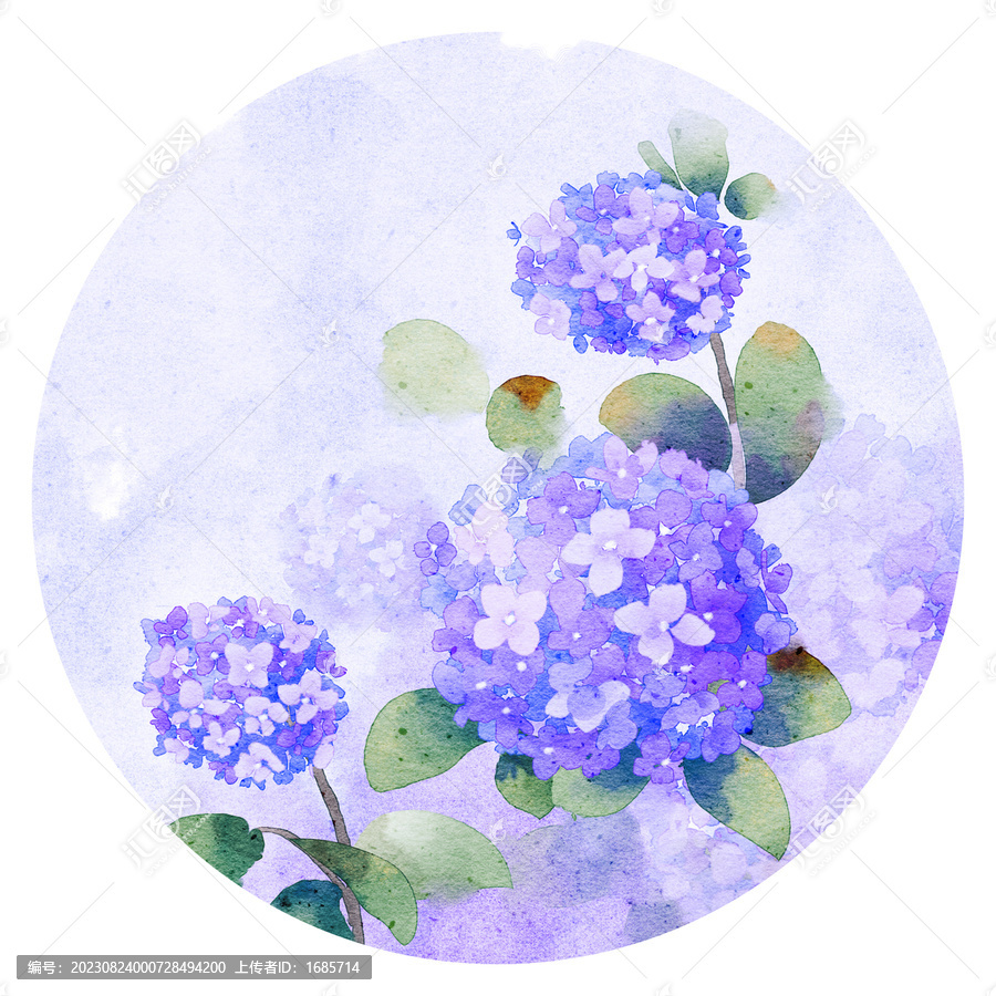 古風(fēng)繡球花