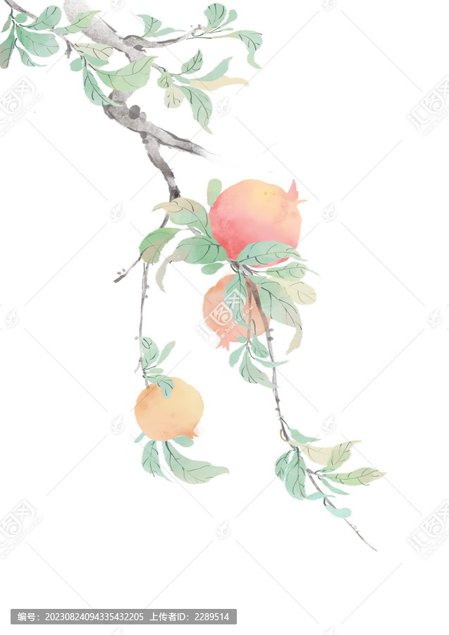 古風(fēng)秋天石榴插畫(huà)意境
