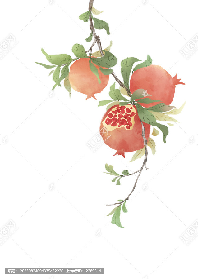 唯美古風(fēng)秋天石榴插畫