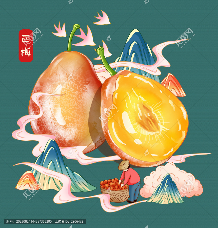 新疆西梅插畫手繪