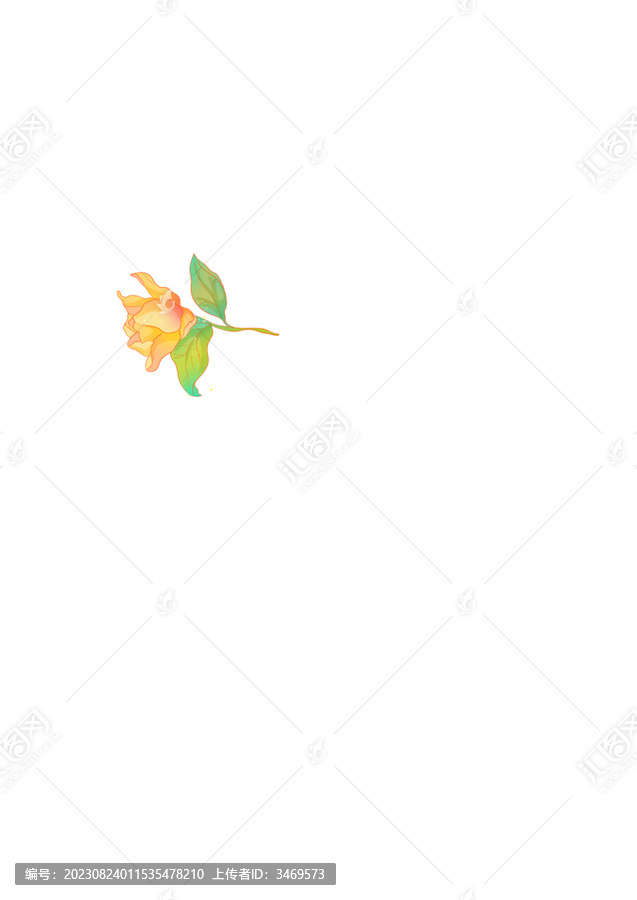 茉莉花