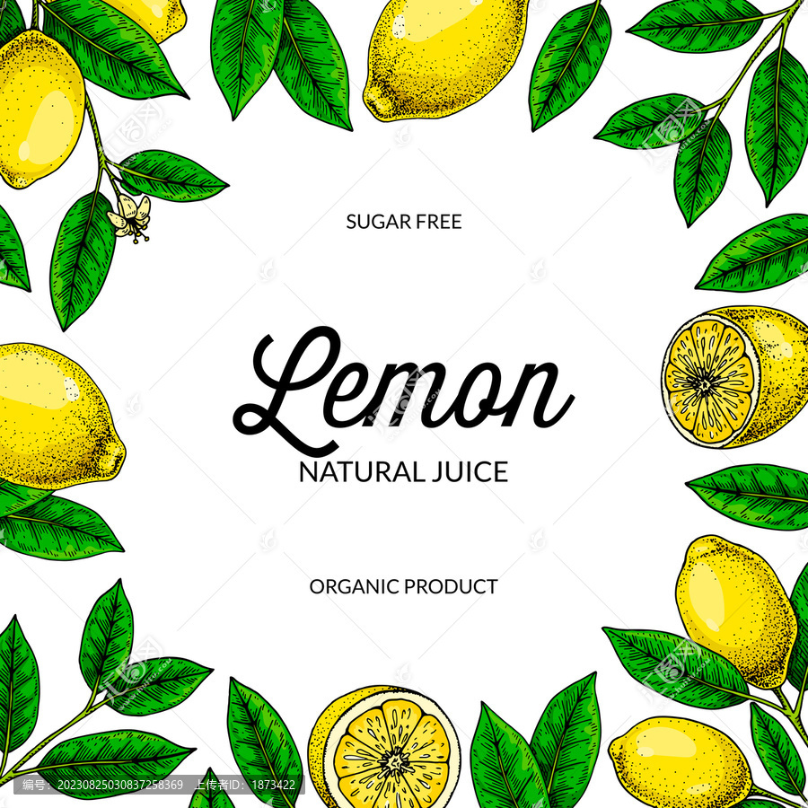 复古素描方形柠檬背景