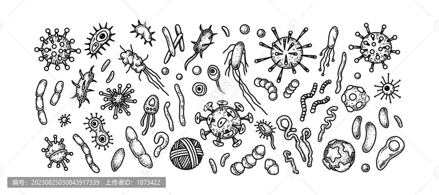 显微镜底下的病菌插图