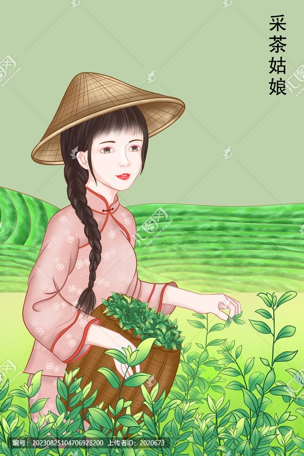 采茶