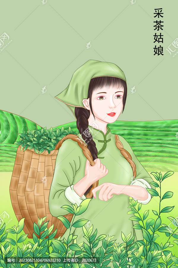 茶葉插畫