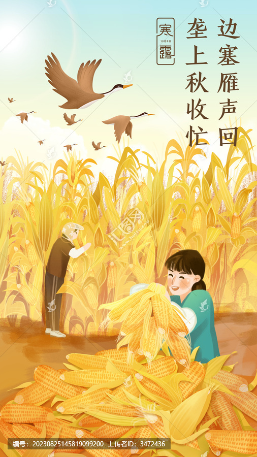 寒露