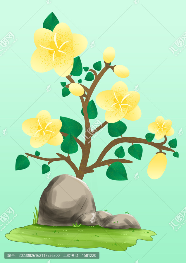 花與石