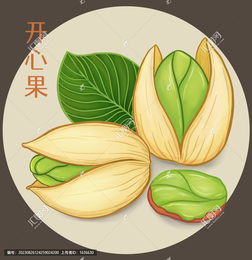 開心果插畫
