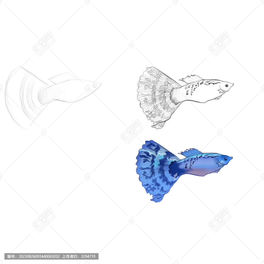 觀賞魚