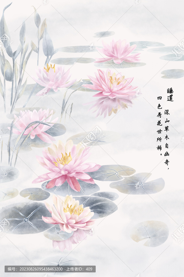 插畫睡蓮