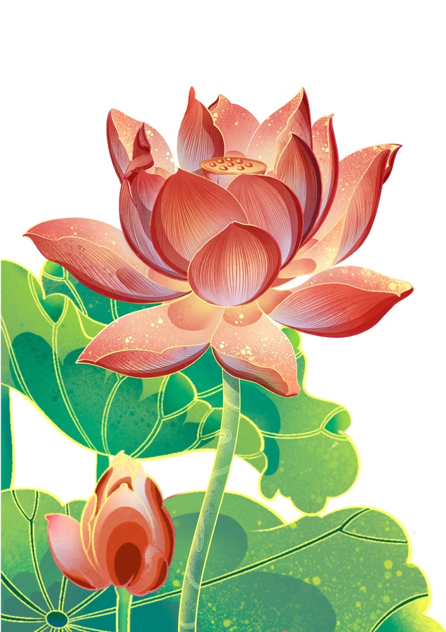 夏日國潮荷花PSD插畫素材