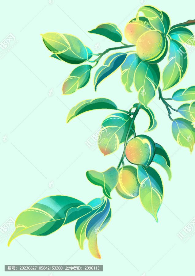 國潮風(fēng)青梅PSD包裝插畫素材