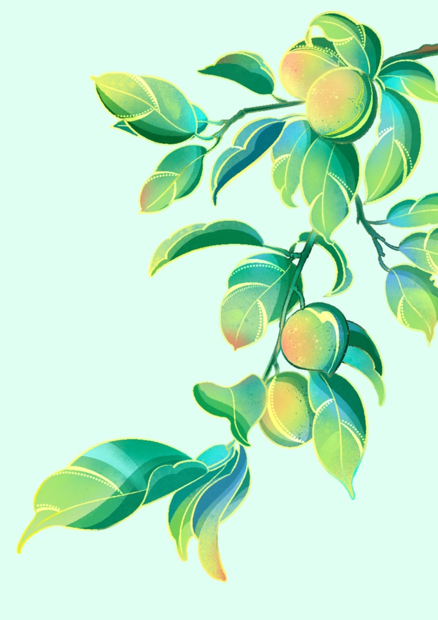 國潮風(fēng)青梅PSD包裝插畫素材