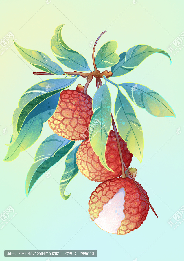 國潮荔枝PSD包裝插畫素材
