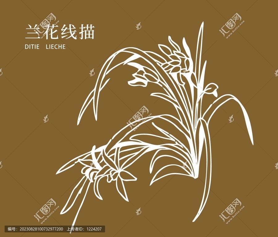 蘭花線稿