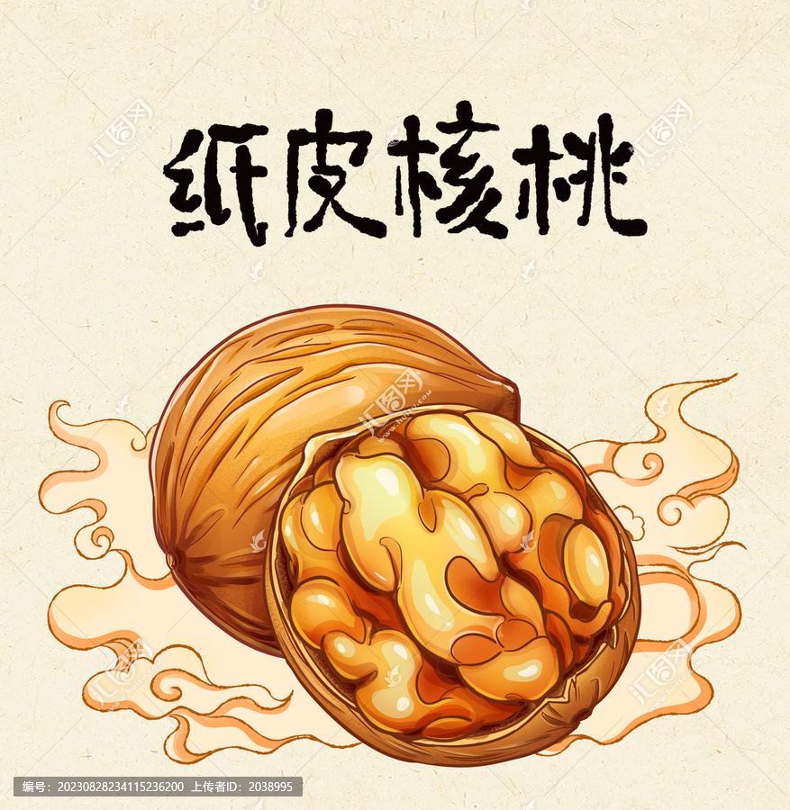 手繪核桃包裝插畫(huà)