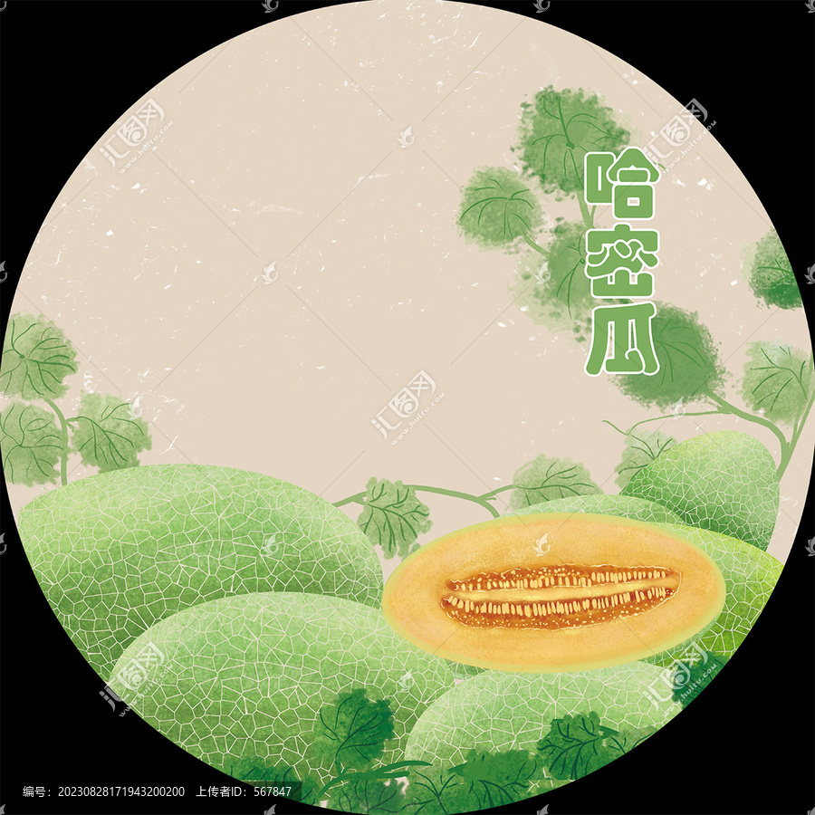 哈密瓜水果插畫(huà)