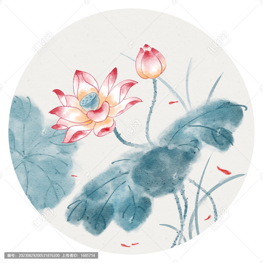 荷花
