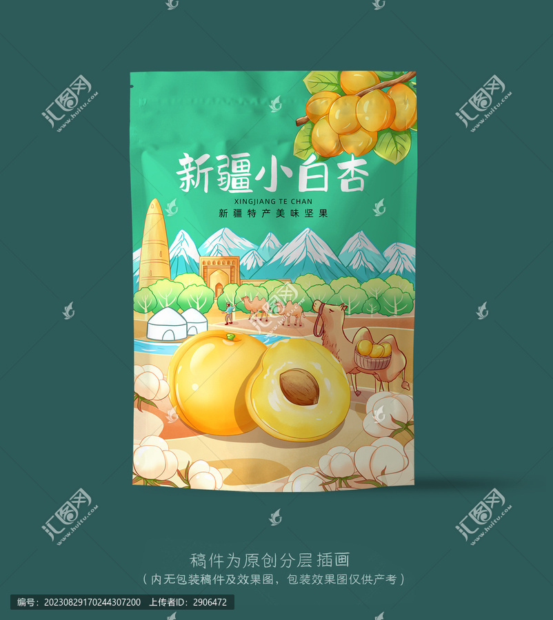 新疆小白杏插画手绘