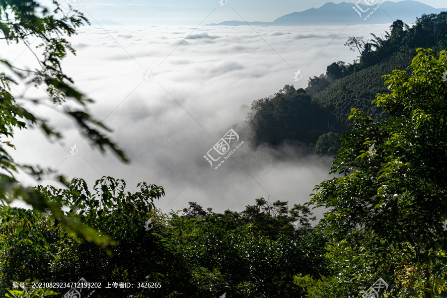 山顶的云海