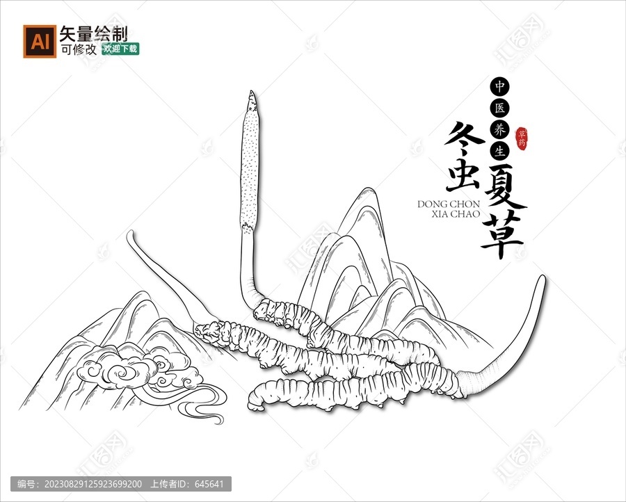 線描冬蟲(chóng)夏草