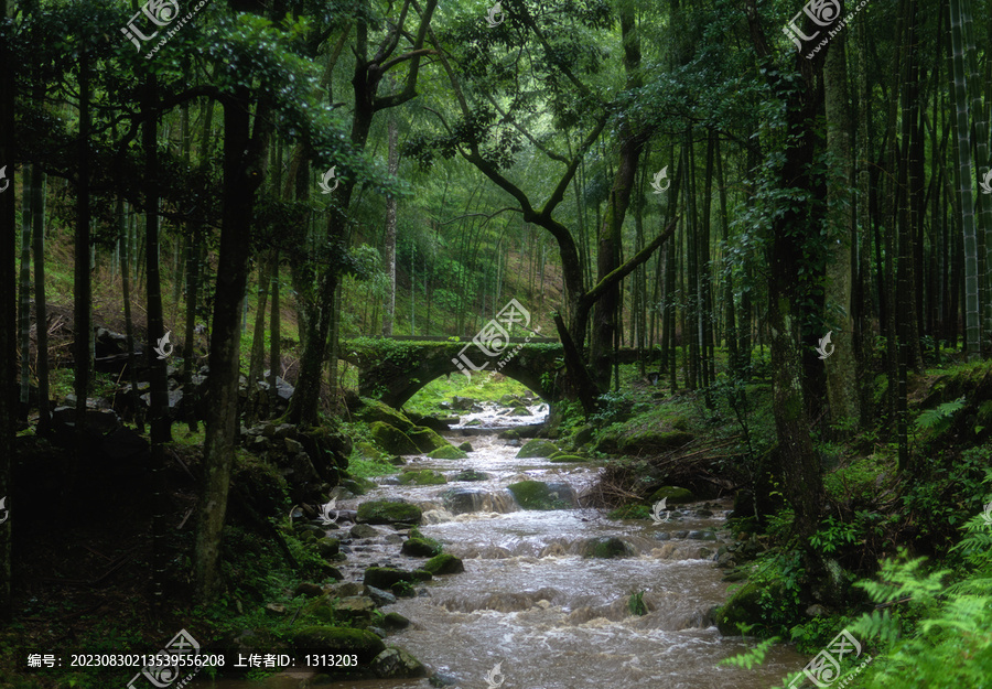 湖南株洲炎陵神农谷景区景观