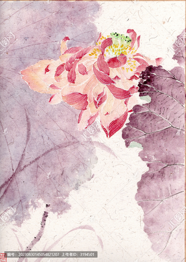 手繪掃描國風(fēng)國畫荷花蓮花