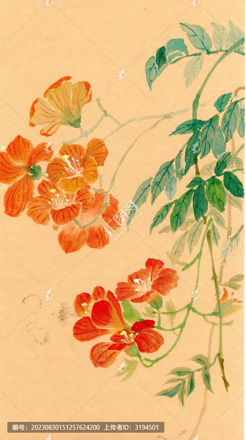 國(guó)畫(huà)凌霄花金粉新中式掛畫(huà)