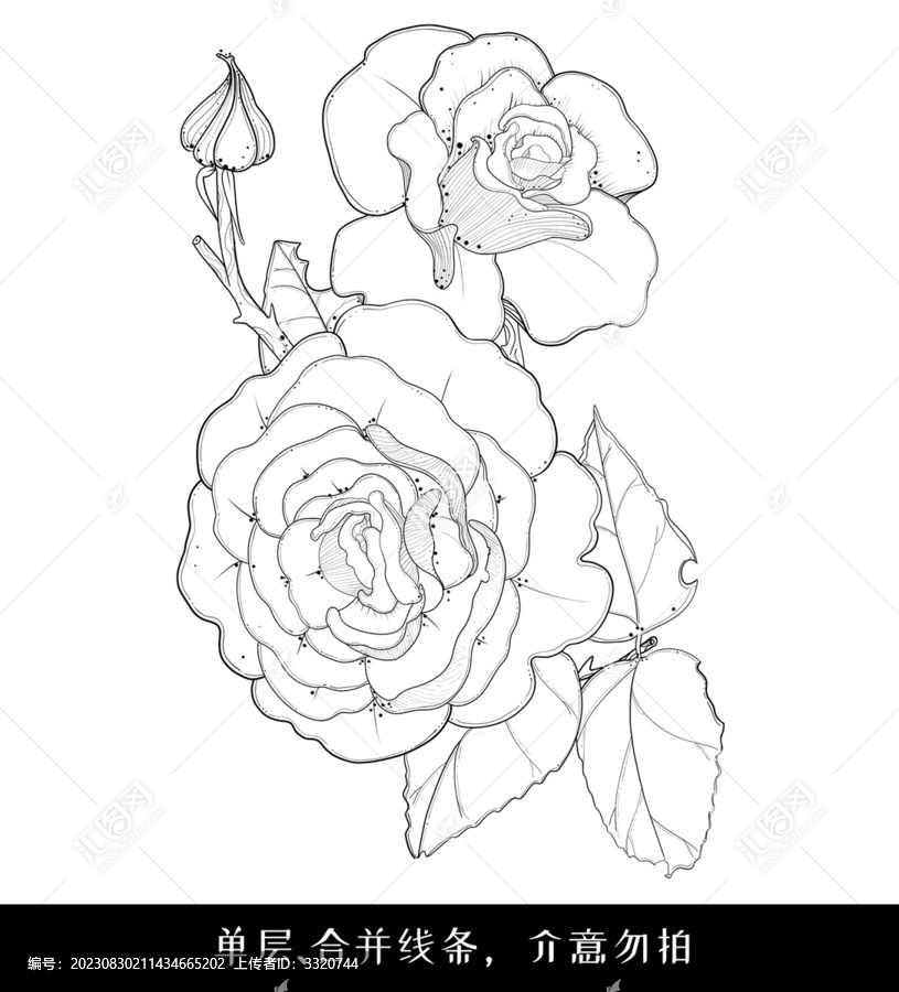 原創(chuàng)玫瑰花線描牡丹花線稿