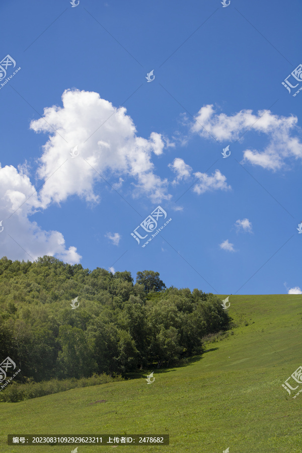 草地树林蓝天白云