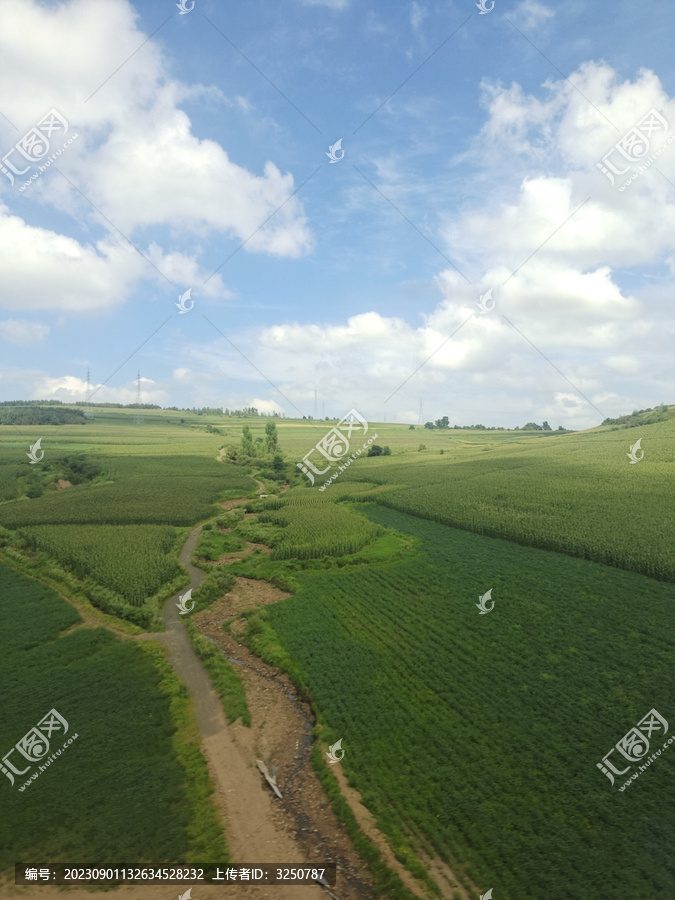 田野