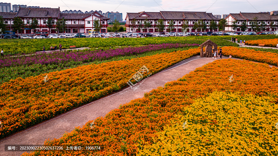 中国长春北湖花海景观