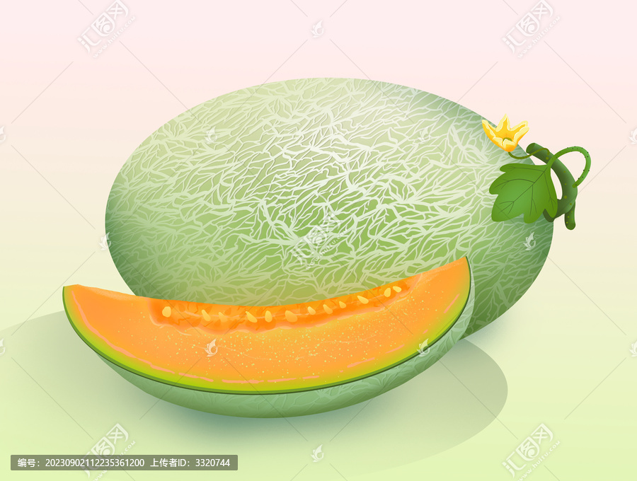 紅壤哈密瓜插畫(huà)