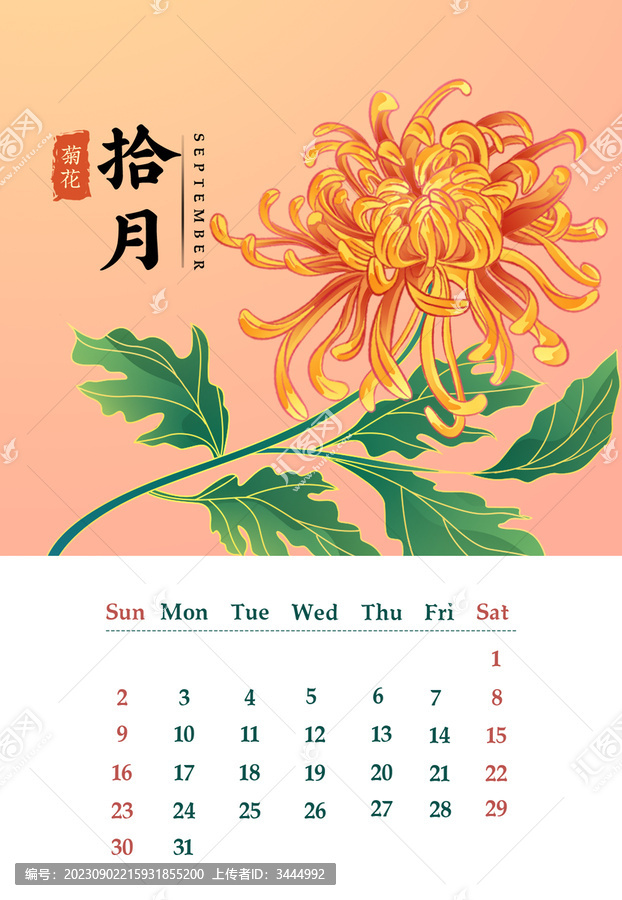 國風(fēng)日歷十二月花卉插畫菊花