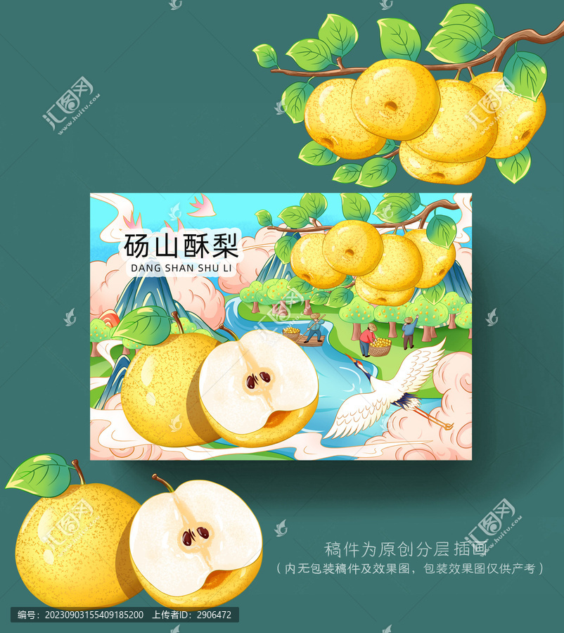 碭山酥梨插畫包裝